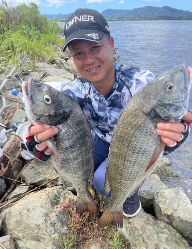 チヌの釣果