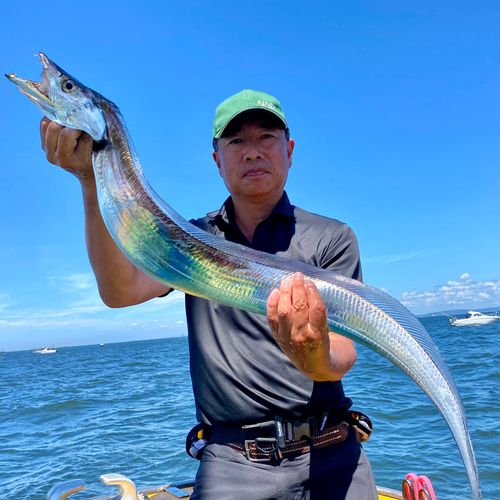 タチウオの釣果