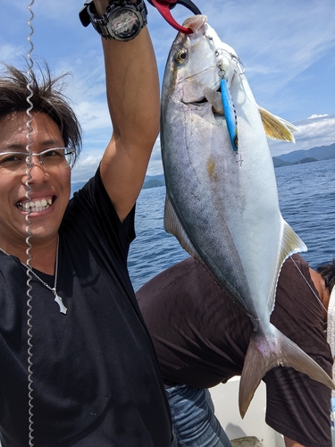 シオの釣果