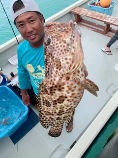 ヒトミハタの釣果