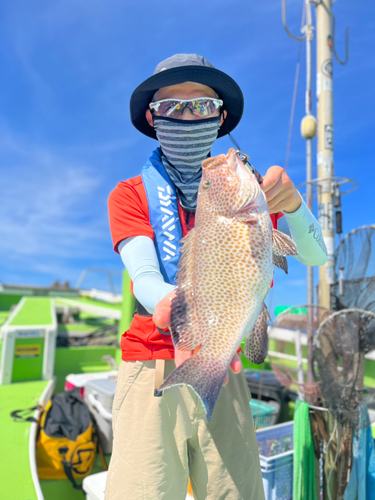 オオモンハタの釣果