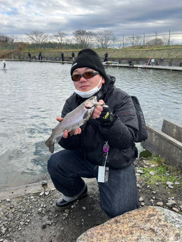 ニジマスの釣果