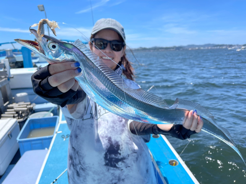 タチウオの釣果