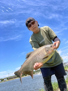 コロソマの釣果