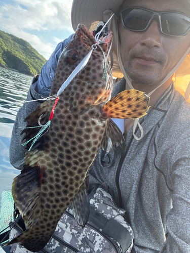 オオモンハタの釣果