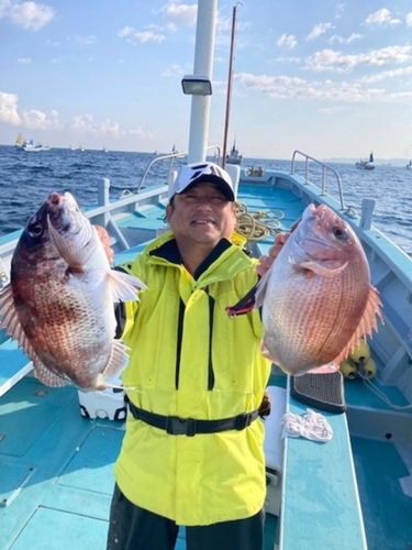 マダイの釣果