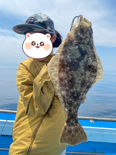 ヒラメの釣果