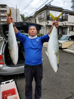 ブリの釣果