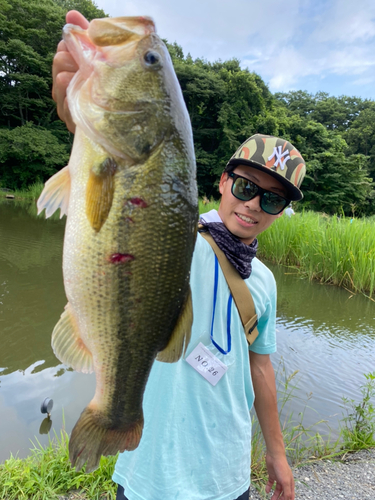 ブラックバスの釣果