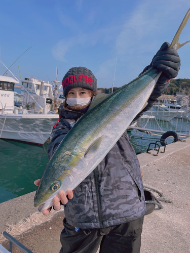 ワラサの釣果