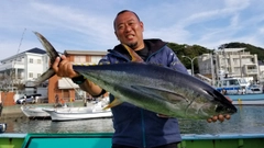 キハダマグロの釣果