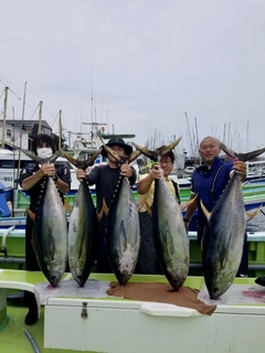 キハダマグロの釣果