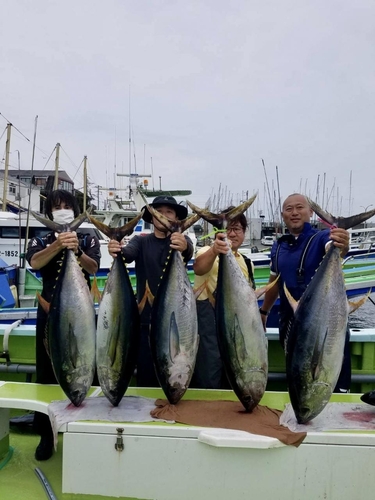 キハダマグロの釣果