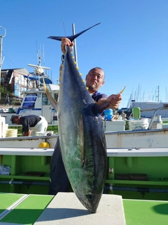 キハダマグロの釣果