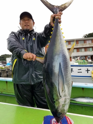 キハダマグロの釣果