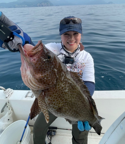 オオモンハタの釣果