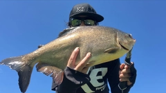 コロソマの釣果