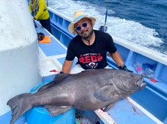 アブラボウズの釣果