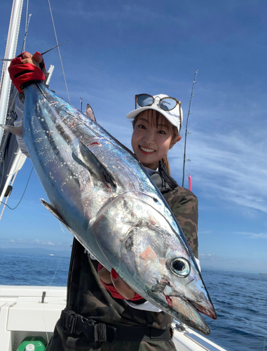 カツオの釣果