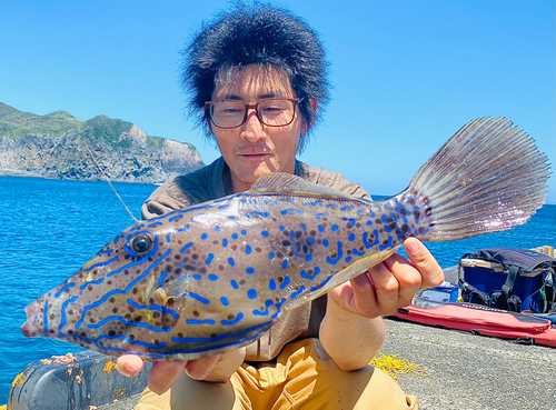 ソウシハギの釣果