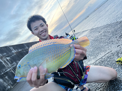 マクブの釣果