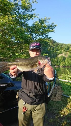 ブラックバスの釣果