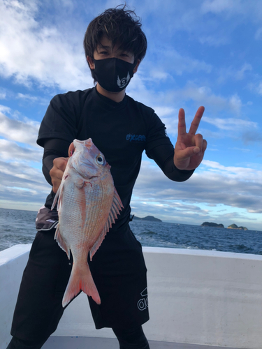 タイの釣果