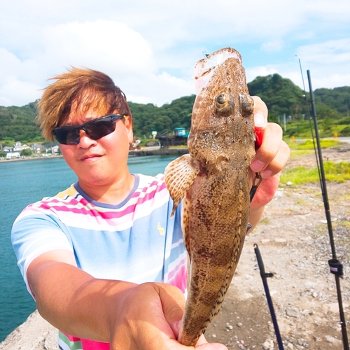 ワニゴチの釣果