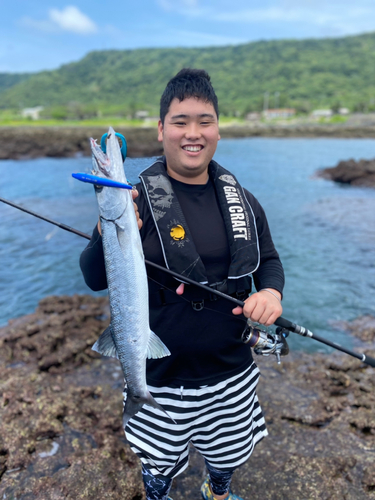 オニカマスの釣果