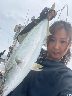 ハマチの釣果