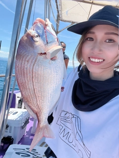 チダイの釣果