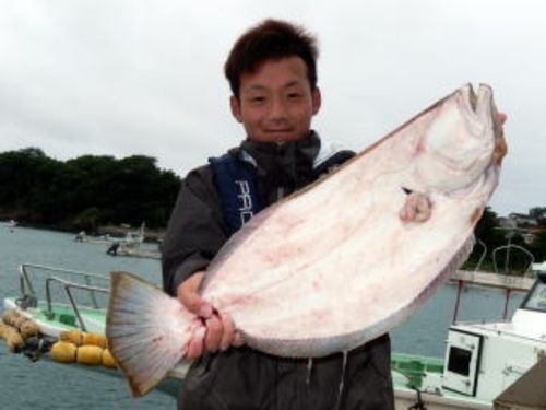 ヒラメの釣果