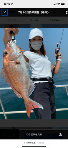 タイの釣果