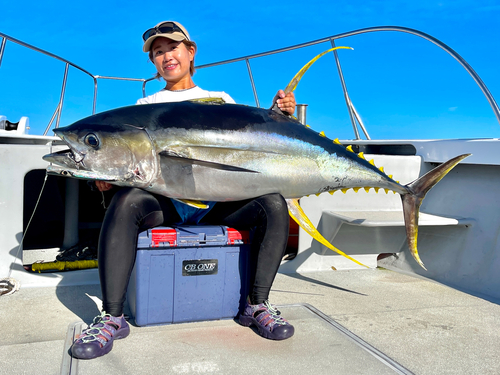 キハダマグロの釣果