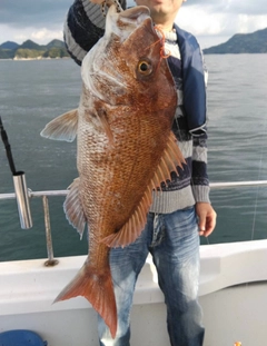 タイの釣果