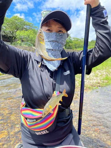 アユの釣果