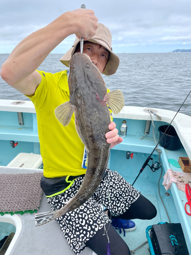 コチの釣果