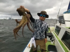 マダコの釣果