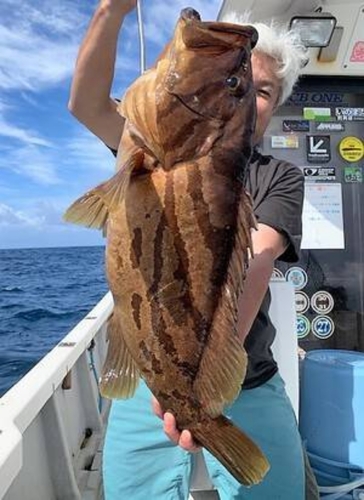 ホウキハタの釣果