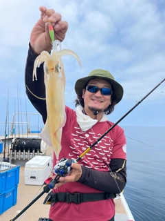 ケンサキイカの釣果