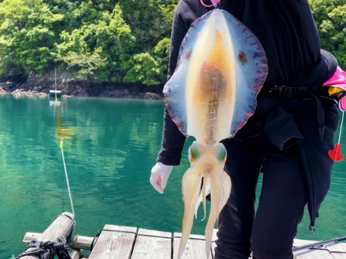 釣りガールみかんさんの釣果 2枚目の画像