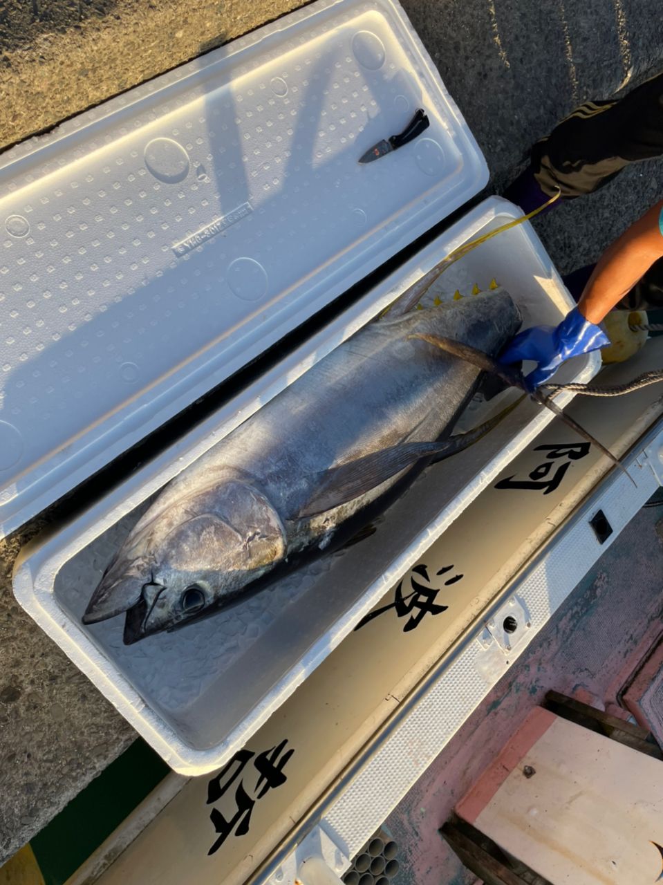 JIGING LOVERさんの釣果 3枚目の画像