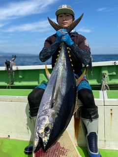 キハダマグロの釣果