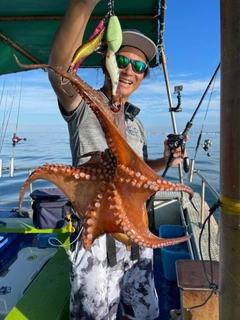 タコの釣果