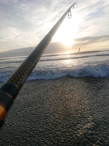 カニの釣果