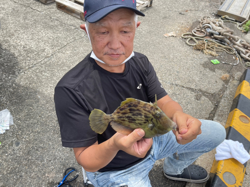 カワハギの釣果