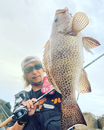 オオモンハタの釣果