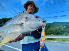 キチヌの釣果