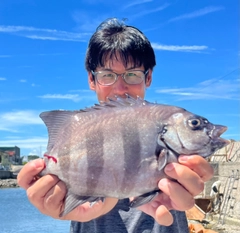 サンバソウの釣果