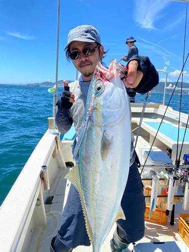 ハマチの釣果